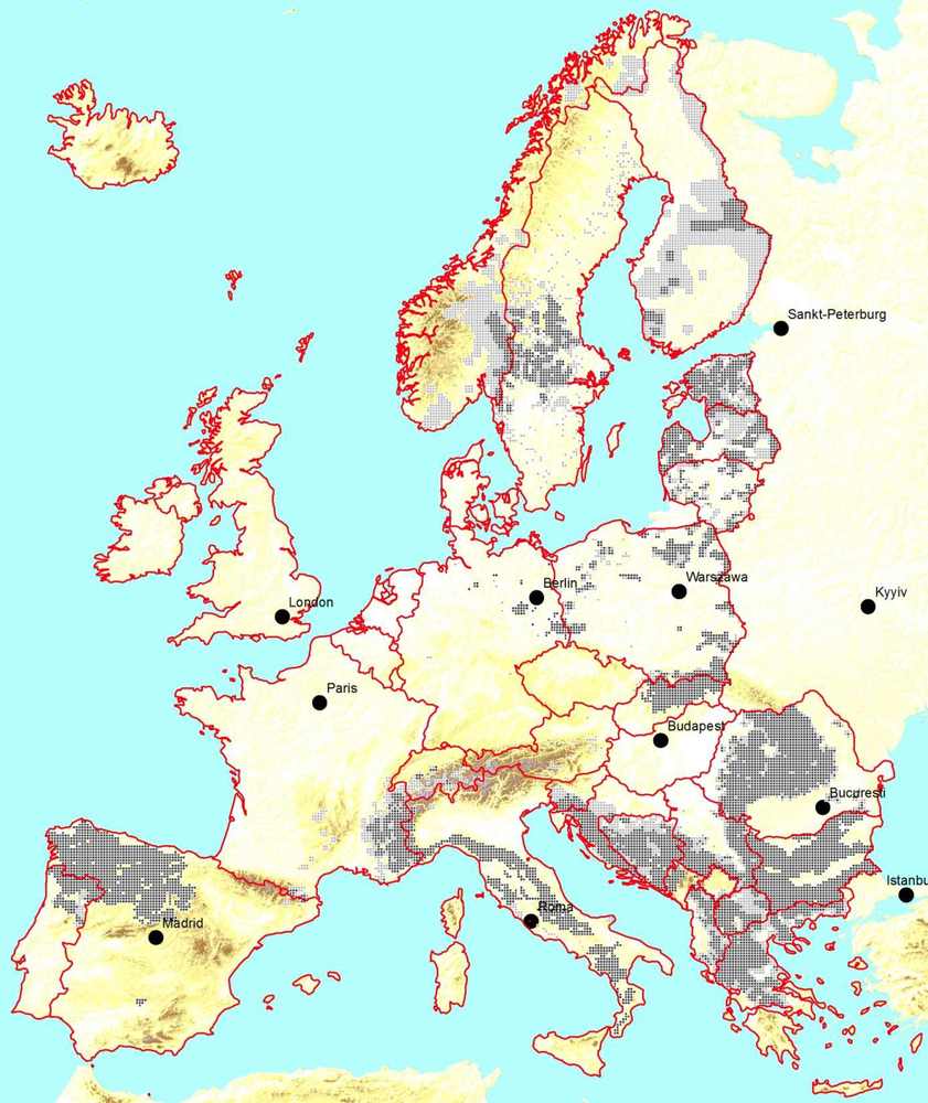 Verbreitung des Wolfes in Europa (Quelle: IUCN)