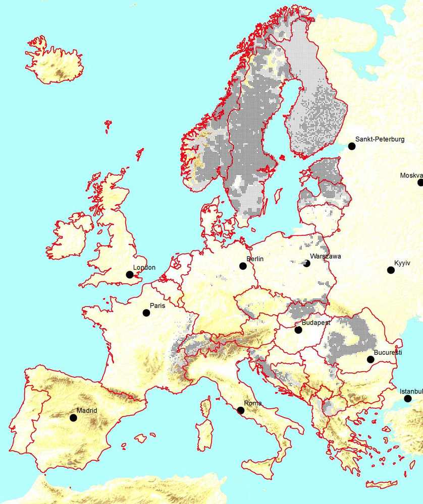 Verbreitung des Luchses in Europa (Quelle: IUCN)